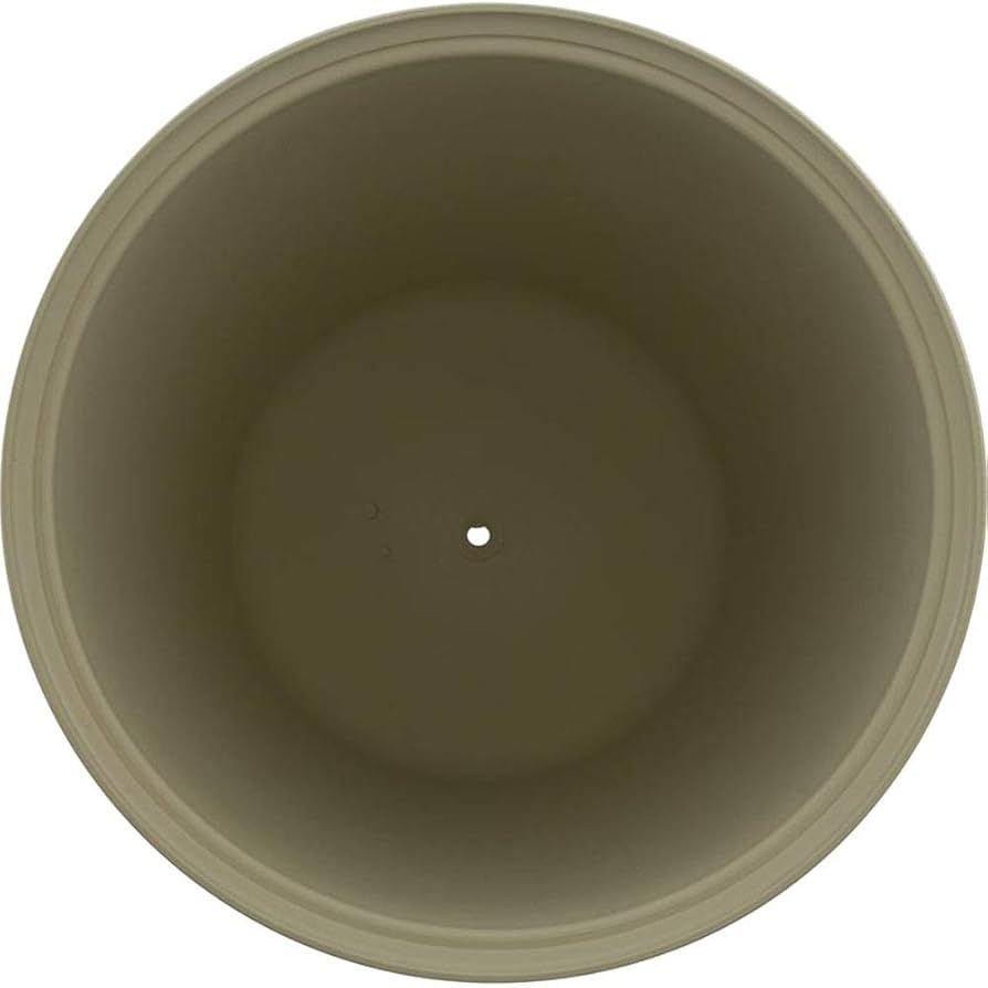 Saboten☆ Pentair Clean & Clear Plus 520 Tank Lid for Pool Filter